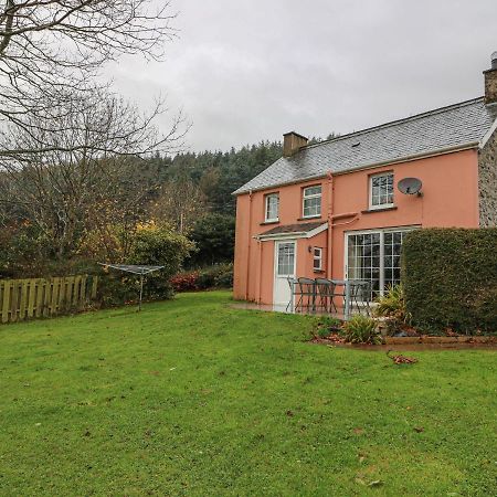 Pen Y Bryn Llanafan Exterior foto